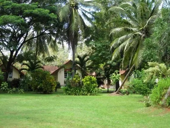 Cleanwave Resort Chumphon - Dış Mekan