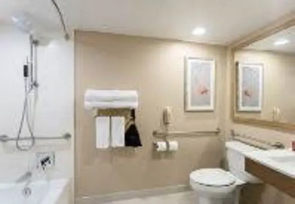 Clearwater Beach Marriott Suites on Sand Key - Oda