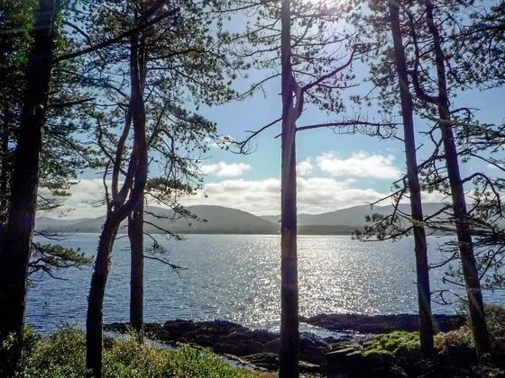 Clonee Fishing Lodge - Plaj