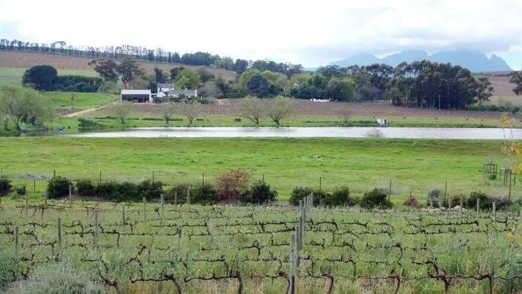 Clos Malverne Wine Estate Accommodation - Dış Mekan