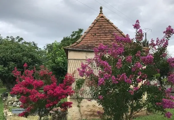 Clos Monicord - Dış Mekan