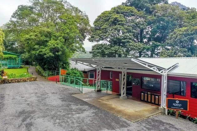 Cloud Forest Lodge by Böëna - Lobi
