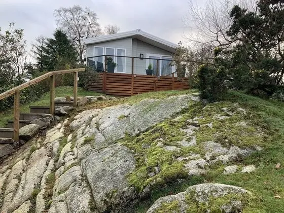 Clouded Yellow - Beautiful Modern Lodge, Kippford