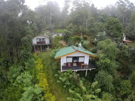 Cloudy Hill Cottage