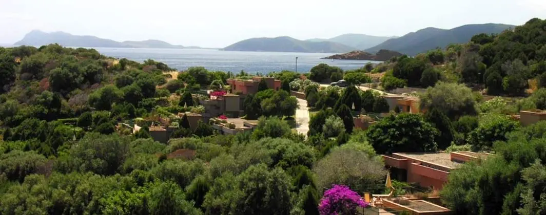 Hotel Club Baia Delle Ginestre - Genel