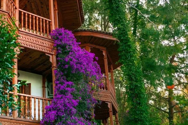 Club & Hotel Letoonia - Dış Mekan