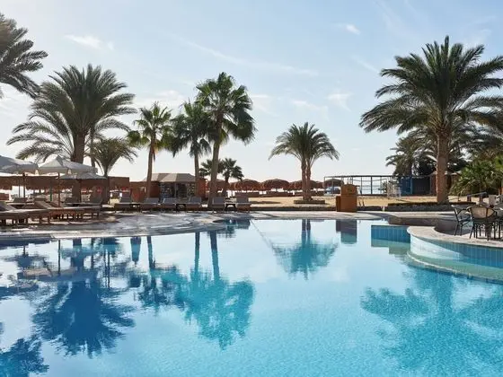 Club Paradisio - Genel