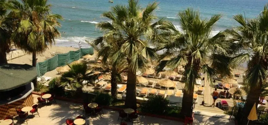 Club Tess Hotel - Genel