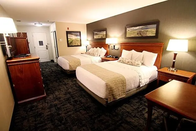C'mon Inn Hotel & Suites - Oda