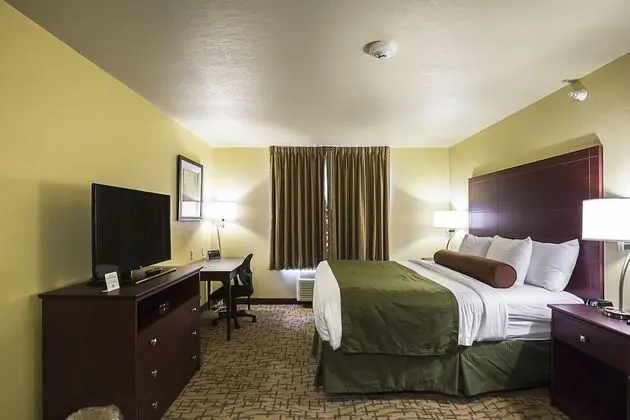Cobblestone Inn & Suites - Altamont - Oda