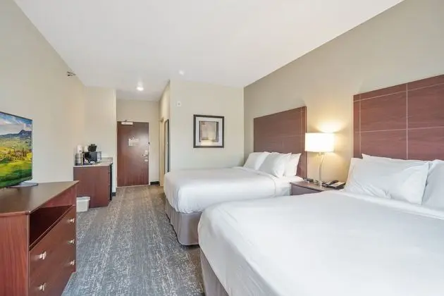Cobblestone Hotel & Suites - Austin - Oda