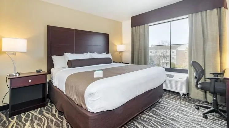 Cobblestone Hotel and Suites Janesville - Oda