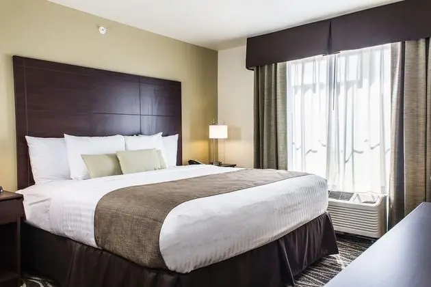 Cobblestone Hotel & Suites – Stevens Point - Oda