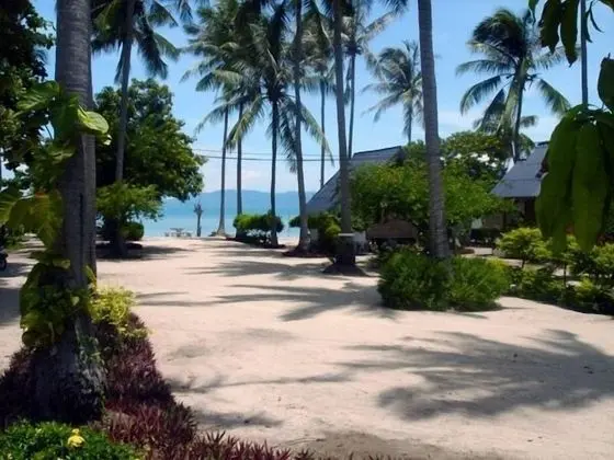 Coco Garden Resort - Dış Mekan