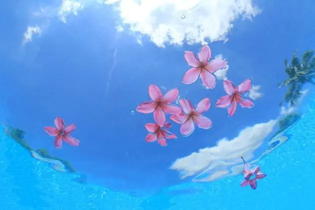 Coco Garden Resort Okinawa - Havuz