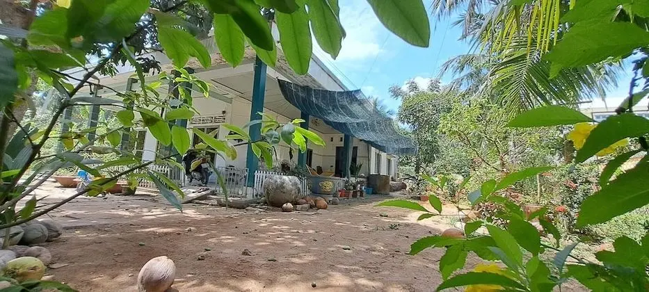 Coco Happy Farmstay - Dış Mekan