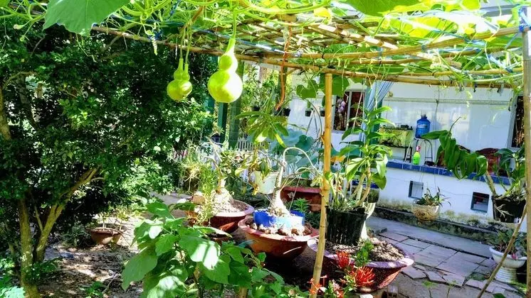 Coco Happy Farmstay - Oda Manzaraları
