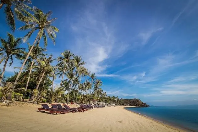 Coco Palm Beach Resort - Plaj