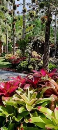 Coco Palm Beach Resort & Spa