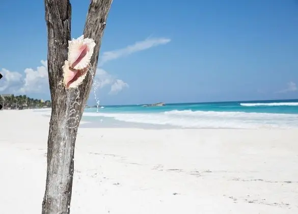Coco Tulum Zen Zone Hotel - Spa