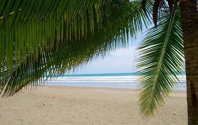 Cocomar Beachfront Hotel and Island Resort - Plaj