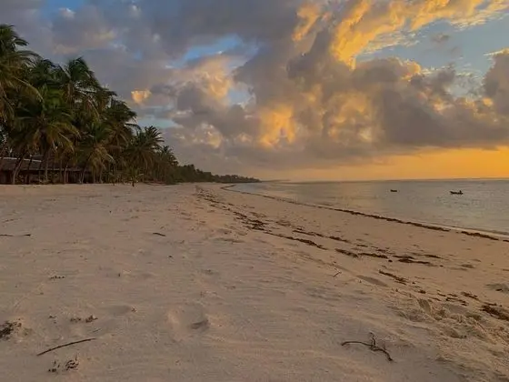 The Coconut Beach Boutique Lodge & Spa - Plaj