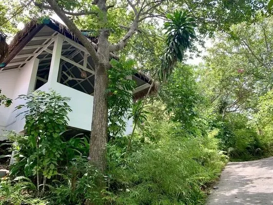 Coconut Beach Bungalows - Dış Mekan