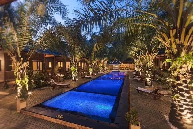 Coconut Boutique Resort - Havuz