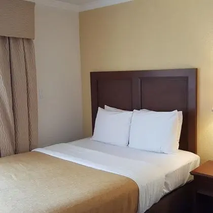 Coconut Cove Suites - Oda