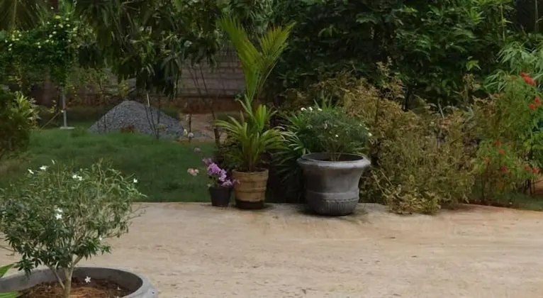 The Coconut Garden Hotel & Restaurant - Dış Mekanlar