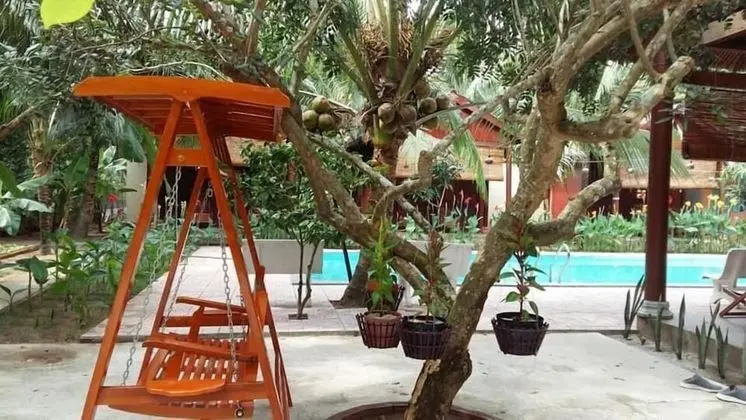 Coconut Homestay - Havuz