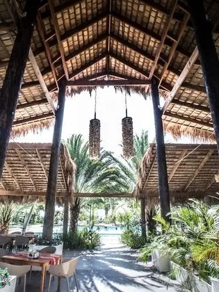 Coconut Paradise Beach Hotel - Dış Mekan