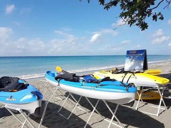 Coconut Paradise Beach Hotel - Plaj