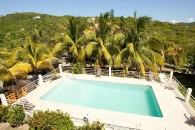 Coconut Tree Villa - Havuz