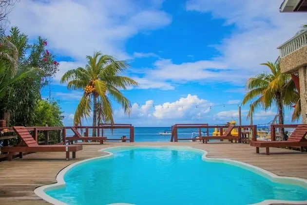 Coconut Tree West Bay