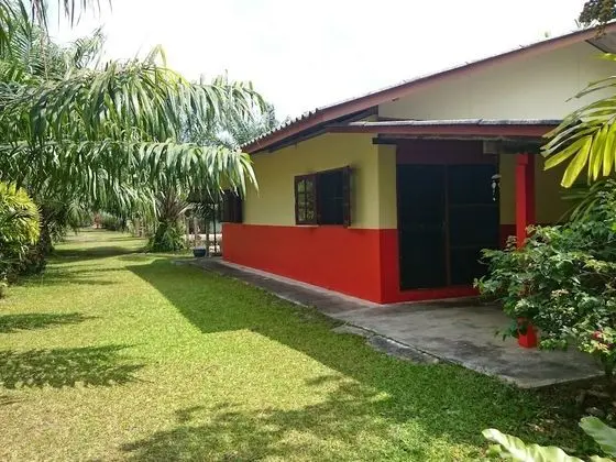 Coconut Valley Bed & Breakfast