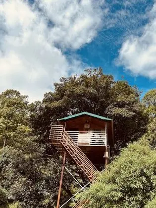 The Cocoon Camps & Nature Resorts