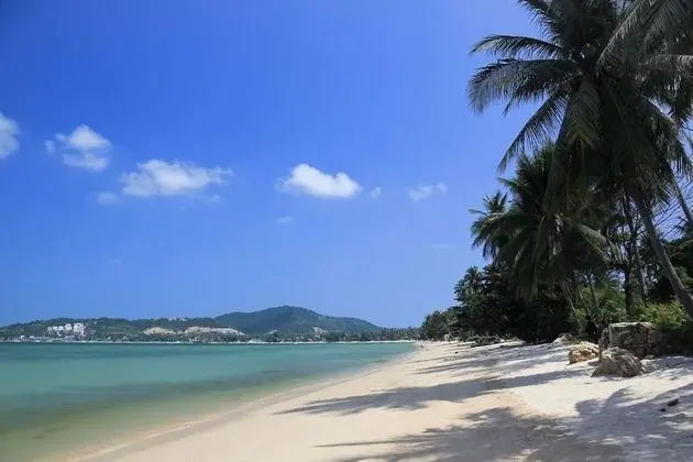 Cocooning Hotel - Plaj