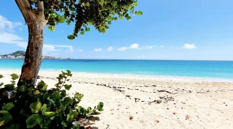 Coco's Beach House