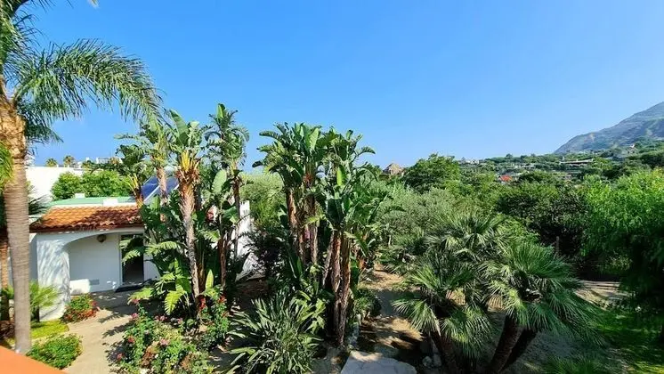 Cocos Park Ischia - Dış Mekan