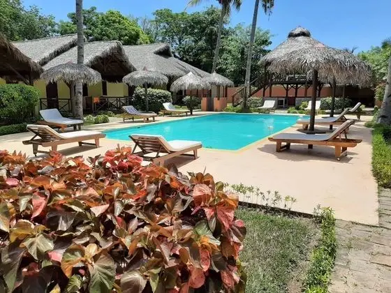 Cocotier Lodge - Havuz