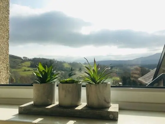 Coedlan - With Superb Views of Cader Idris - Konum Öne Çıkanlar
