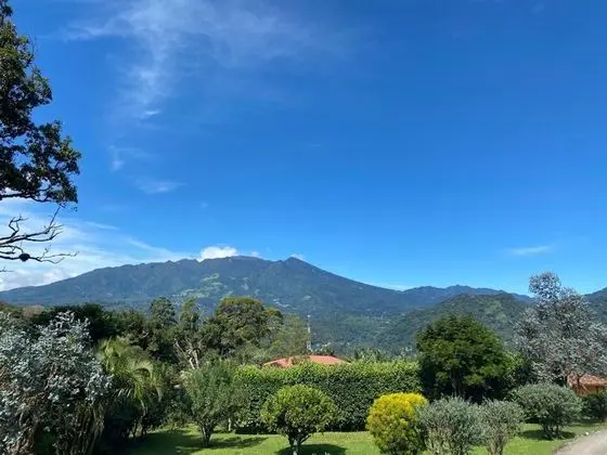 Coffee Estate Inn