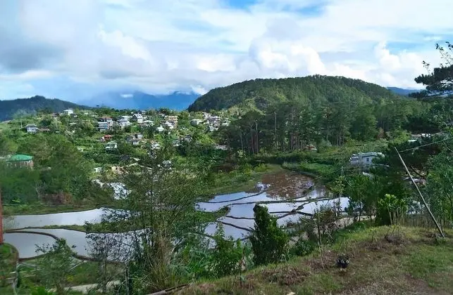 Coffee Heritage House & Hostel