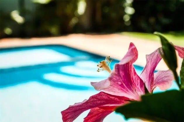 Coffs Harbour Holiday Apartments - Havuz