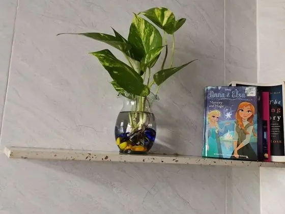 Cola's Homestay - İç Mekan