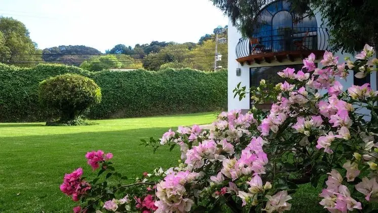 Colibrí Hotel