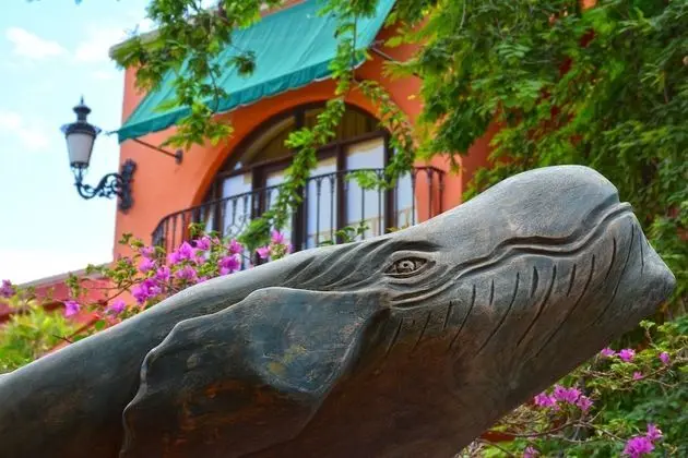 Collection O Casa Bella Hotel Boutique, Cabo San Lucas - Dış Mekan
