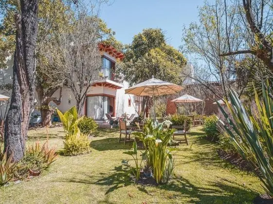 Collection O Casa de Familia,  San Cristóbal