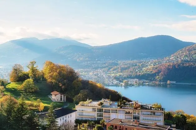 Collina D'Oro